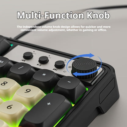 Wired Gaming Keyboard with Rainbow Backlit, Portable Black Keyboard for-98 Keys