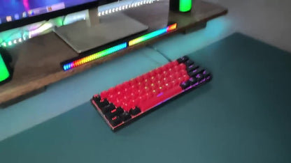 Wired Mechanical Keyboard, Mini Gaming Keyboard with 61 Red Switches Keys