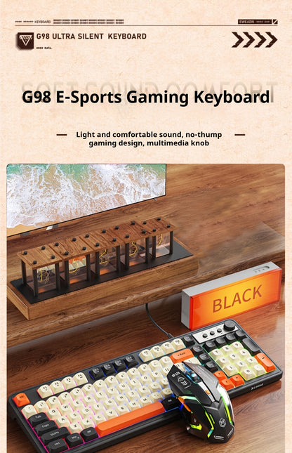 Wired Gaming Keyboard with Rainbow Backlit, Portable Black Keyboard for-98 Keys
